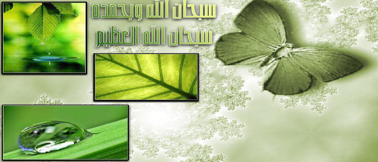 الأعشاب الطبية وفوائدها