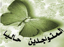 المتواجدون الآن ؟