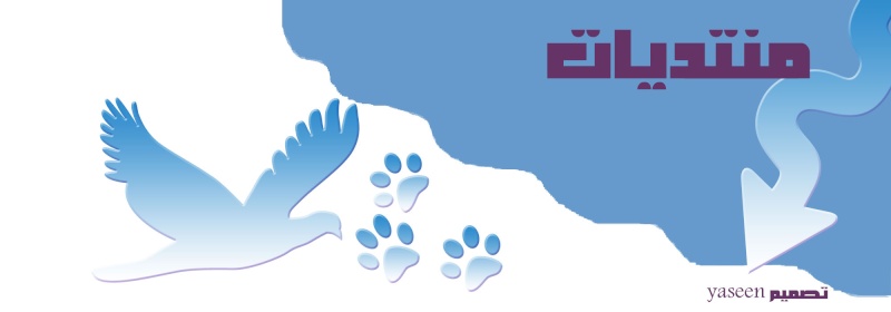 منتدى المحاسبين المصريين