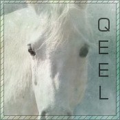 Qui est en ligne ?