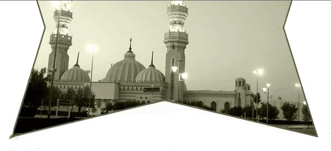 السادة ال مير حسن العروسي الحسيني