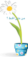 المتواجدون الآن ؟