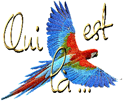 Qui est en ligne ?
