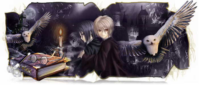 Hogwarts Magic School