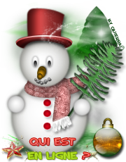 Qui est en ligne ?