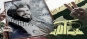 لا توجد أية مواضيع جديدة