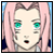 Forum Blocat