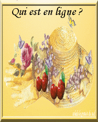 Qui est en ligne ?