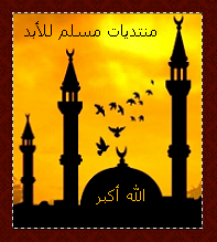 المتواجدون الآن ؟