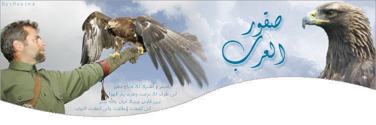 صقور العرب