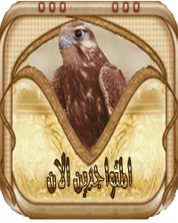 المتواجدون الآن ؟