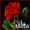 المنتدى مُقفل