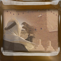 المتواجدون الآن ؟
