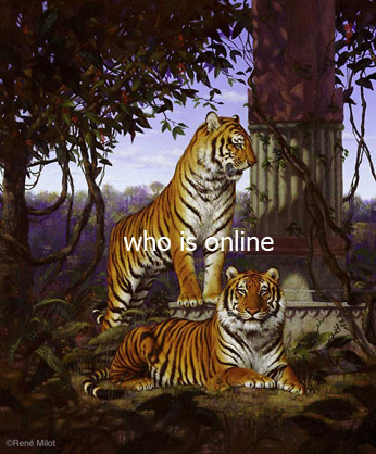 المتواجدون الآن ؟