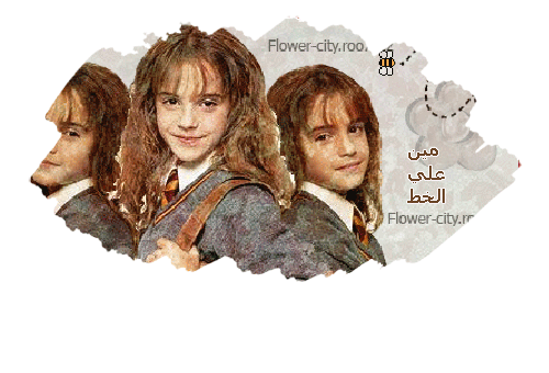 المتواجدون الآن ؟