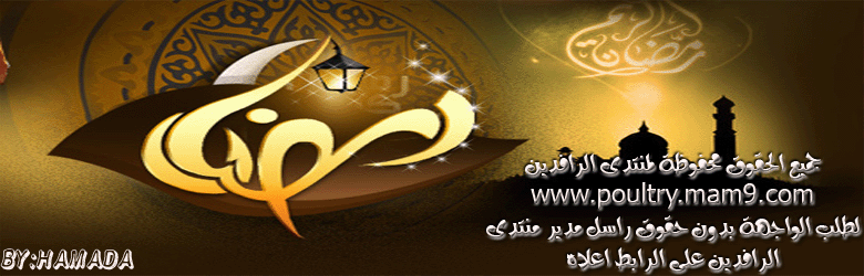 طريقة عمل الهريسة الشامية