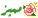مميز مميز