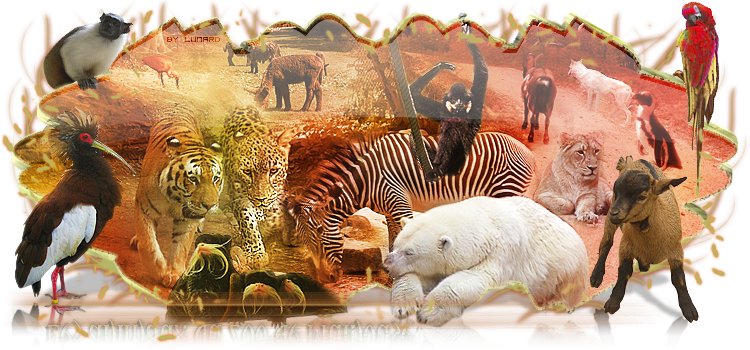 Les Animaux du monde