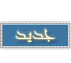 مواضيع جديدة