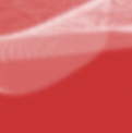 New posts