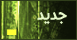 مواضيع جديدة