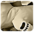 المنتدى مُقفل