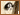 Voir le dernier message Voir le dernier message