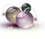 المنتدى مُقفل