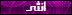 انثي انثي