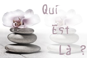 Qui est en ligne ?