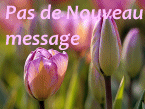 Pas de nouveaux messages Pas de nouveaux messages