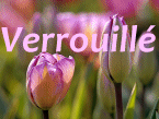 Forum Verrouillé