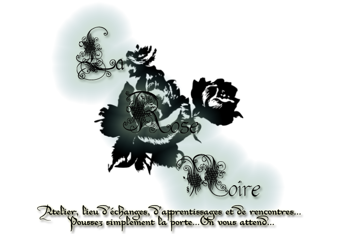 The Black Rose guilde dofus