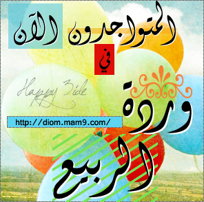 المتواجدون الآن ؟