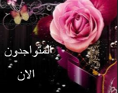 المتواجدون الآن ؟