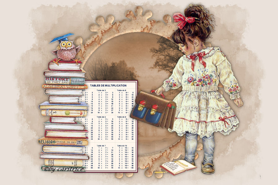 La bibliothèque de l'école de rang