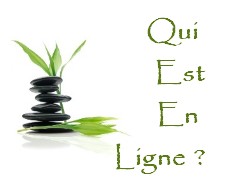 Qui est en ligne ?