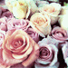 New posts