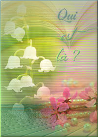 Qui est en ligne ?