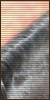 Ce forum est verrouillé, vous ne pouvez pas poster, ni répondre, ni éditer les sujets. Ce forum est verrouillé, vous ne pouvez pas poster, ni répondre, ni éditer les sujets.