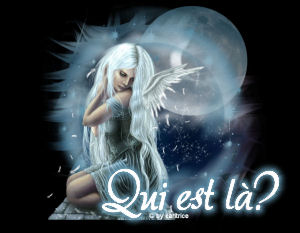 Qui est en ligne ?