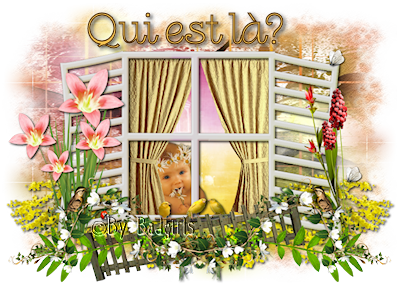 Qui est en ligne ?